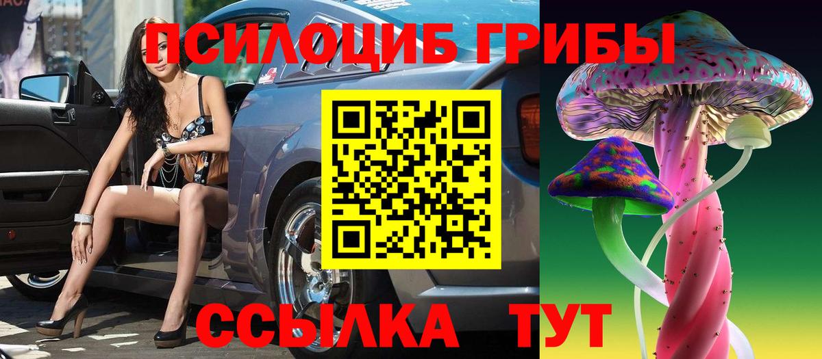 Псилоцибиновые грибы GOLDEN TEACHER  Псилоцибиновые грибы мицелий  Вход с VPN  Биробиджан 